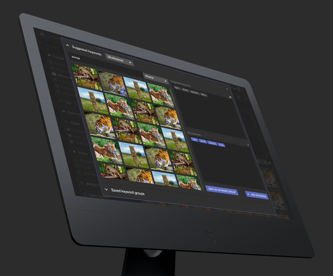 Astodi Online Asset Manager & Stock Director - DigitalSkin Design