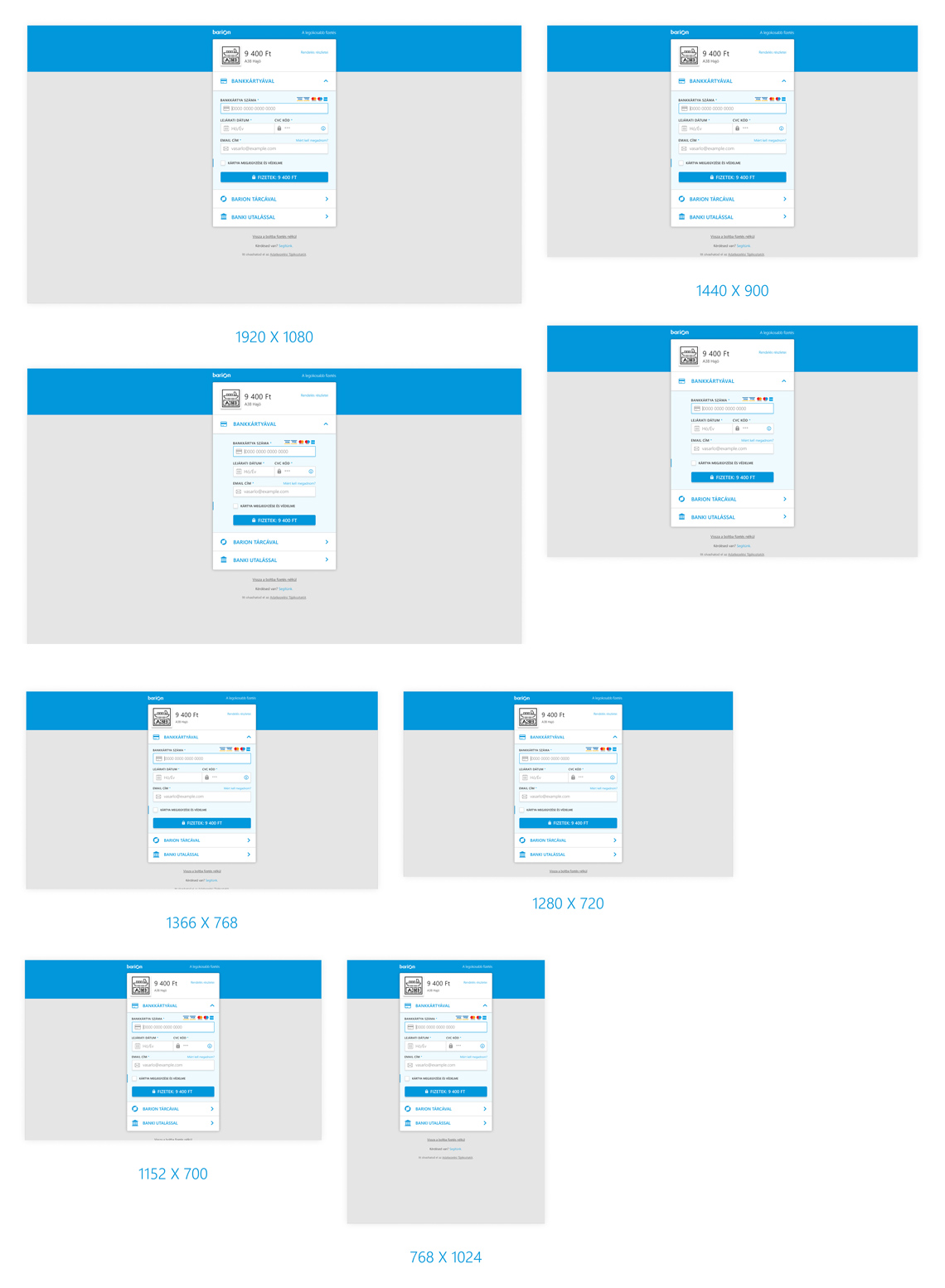 Barion Smart Gateway online payment - DigitalSkin Design